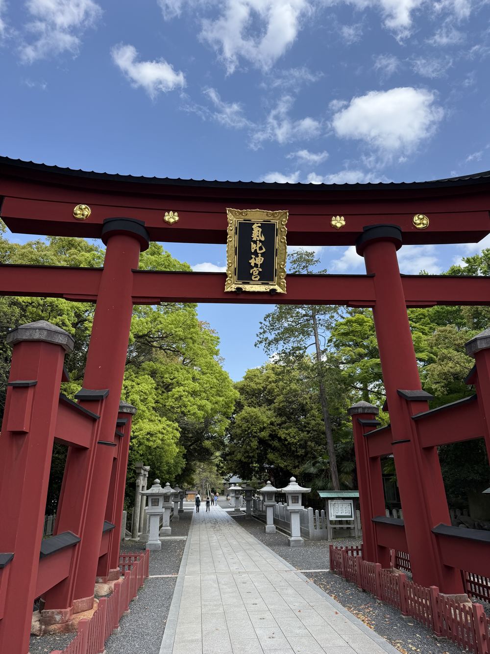 Kehi Jingu on an ordinary afternoon